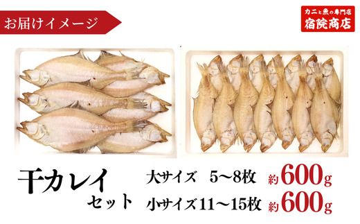 【兵庫県香住産 干カレイセット 合計1.2kg以上 冷凍】 国産 エテカレイ えてかれい カレイ かれい 干物 セット 詰め合わせ 焼き魚 あぶり 炙り お酒 酒 おつまみ 人気 大人気 ふるさと納税 おすすめ 返礼品 兵庫県 香美町 香住 柴山 宿院商店 33-13