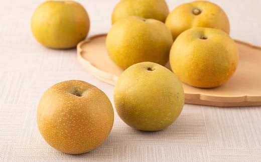 FYN6-074 ≪2026年先行予約≫ 贈答用 山形県産 和梨 約3kg（7～12玉） 秀品 2026年8月中旬頃から順次発送 幸水 こうすい 豊水 ほうすい 梨 夏果実 果物 くだもの フルーツ ギフト箱 化粧箱 ギフト プレゼント 贈り物 産地直送 西川町 月山