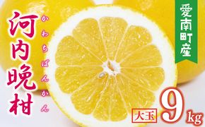 数量限定 先行予約 河内晩柑 樹齢 25年以上 大玉 9kg （ 2Lサイズ 以上 ） 11000円 みかん mikan 蜜柑 ミカン かわちばんかん 愛南ゴールド あいなん ゴールド 文旦 派生 和製 グレープフルーツ 産地直送 国産 農家直送 期間限定 特産品 ゼリー ジュース アイス 等に 人気 限定 甘い さわやか フルーツ 果物 柑橘 蜜柑 みかんの山祥 愛南町 愛媛県