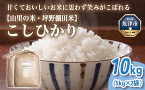 山の湧き水 寒暖差 山里 山里の米･坪野米 R8年産 こしひかり 10kg　※北海道・沖縄・離島への配送不可 ※2026年10月～発送