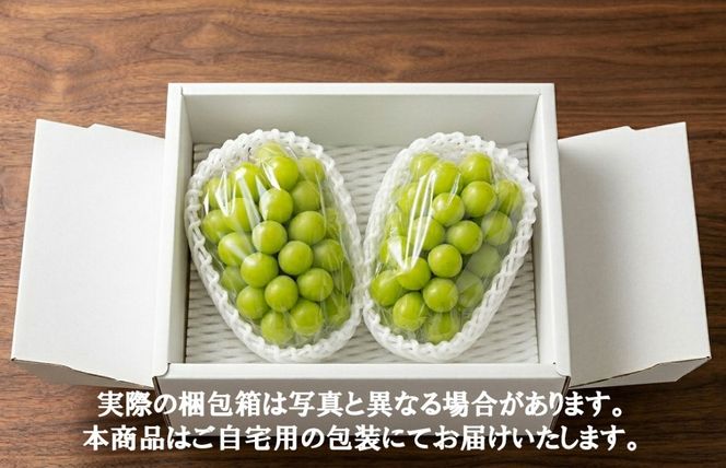 《秀品以上》上級品をお得に　【シャインマスカット】　1.0kg以上（２房）　【2026年発送分 先行予約】- FUJIKAWA GRAPES -