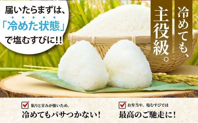 【定期12回】令和7年産 コシヒカリ 10kg×12回 京都丹波産 農家直送 産地直送 スピード配送【～3月31日まで】※北海道･沖縄･離島への配送不可