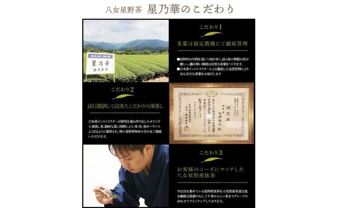 八女茶 玉露 ティーバッグ 2.5g×100個 お茶 緑茶 