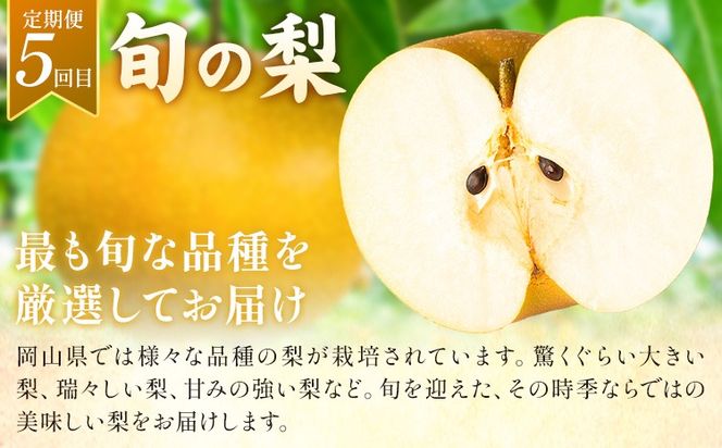 フルーツ 定期便 全5回 岡山県の 贅沢 フルーツ定期便 白桃 黄桃 ニューピオーネ シャインマスカット 梨《7月-12月末頃出荷》岡山県 矢掛町 送料無料 果物 フルーツ 旬 もも ぶどう なし お取り寄せフルーツ---ofn_czfrutei_26_50000_jul5---