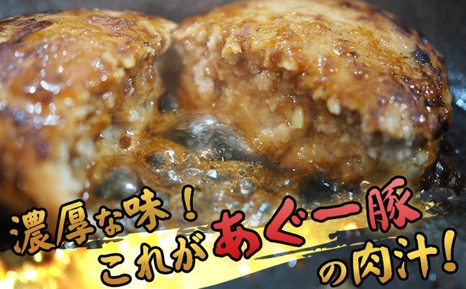 【3ヵ月定期便】【美ら島あぐー】ハンバーグ4個入り1920g（480g×4パック） 合計16個 あぐー 黄金比率 沖縄 大宜味村 豚肉 小分け 国産 おつまみ こだわり ぶた アグー 加工品 おいしい 美味しい 取り寄せ 肉 豚 冷凍 まろやか 旨味