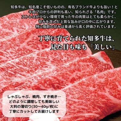 高級すき焼き肉1.5kg(ブランド牛肉「知多牛響」赤身霜降りスライス)CAS冷凍・訳あり・焼肉にも! 