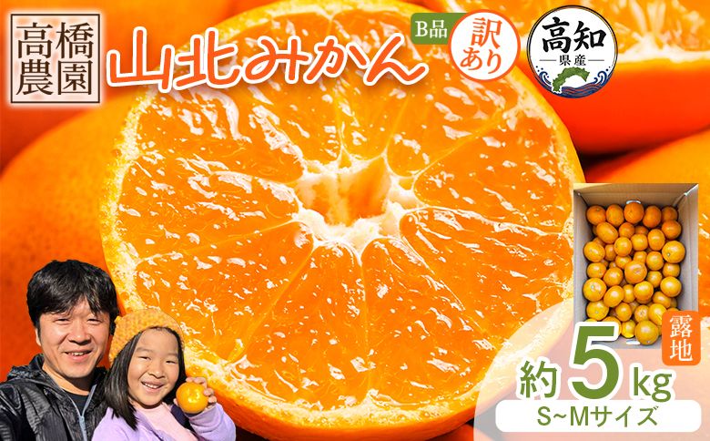 みかん [2026年11月中旬より順次配送]高橋農園[訳あり]山北みかん 露地(S〜M)B品 5kg th-0031