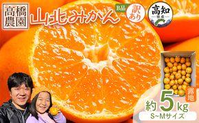 みかん 【2026年11月中旬より順次配送】高橋農園【訳あり】山北みかん 露地(Ｓ～Ｍ)Ｂ品 5kg th-0031