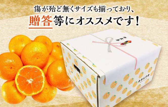 みかん Lサイズ 秀品 箱込 5kg (内容量約 4.4kg) 有田みかん 和歌山県産 産地直送 贈答用 ［2025年11月中旬より2026年1月中旬頃順次出荷予定］［みかんの会］ 	AX200