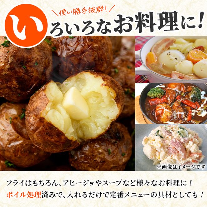 冷凍じゃがいも (計7.5kg・250g×30袋) ジャガイモ ニシユタカ にしゆたか 冷凍 ボイル 小分け 小玉 小さめ フライ アヒージョ スープ カレー シチュー 簡単調理 お弁当 おかず 野菜 赤土 【有限会社やまた水産食品】akn036-07