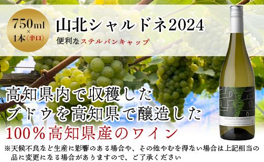 ワイン 人気 白 高知県産ワイン tosa cavatina 山北シャルドネ2024 (750ml×1本) - 白 辛口 お酒 さけ アルコール ボトル 瓶 ギフト 送料無料 高知県 香南市 冷蔵 iw-0007