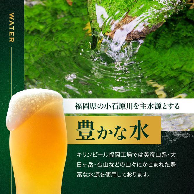 定期便 3ヶ月 キリン ビール ハートランドビール 500ml 中瓶 12本 箱入 お酒 アルコール 瓶 3回 お楽しみ 