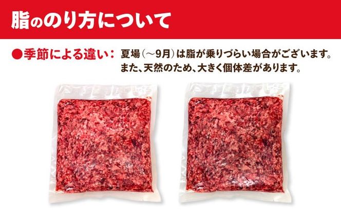 猪肉 ミンチ 3kg 雲仙いのしし / ひき肉 肉 イノシシ ジビエ いのしし ハンバーグ / 南島原市 / もりのめぐみ[SDB014]