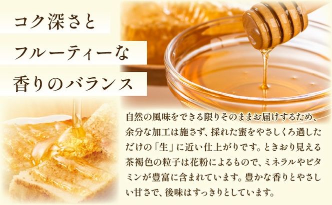 日本蜜蜂の純粋はちみつ 日本蜜蜂の純粋はちみつ 300g×2