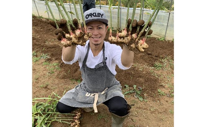 【CF】自家製ジンジャービア【HAKKO GINGER】6本セット 飲料類 炭酸飲料 野菜飲料 野菜ジュース 