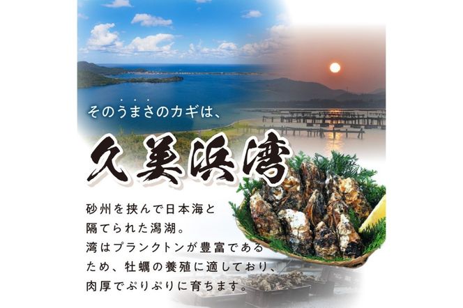 【年末年始（12月26日～1月5日）発送対応】京都・京丹後産牡蠣グラタン3個セット　AH00017