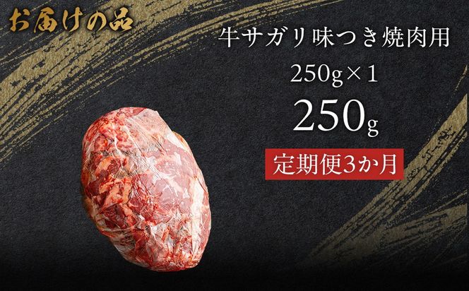 【3か月定期便】牛サガリ味つき焼肉用 250g (250g×1) MROBM021