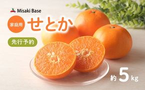 【先行予約】【家庭用】せとか 約5kg ｜ みかん 柑橘 ミカン 蜜柑 mikan 果物 フルーツ 糖度 甘い 清見 きよみ アンコール 規格外 おすそ分け 愛媛県 伊方町 Misaki Base 訳あり ※離島への配送不可 ※2025年3月上旬～3月中旬頃に順次発送予定