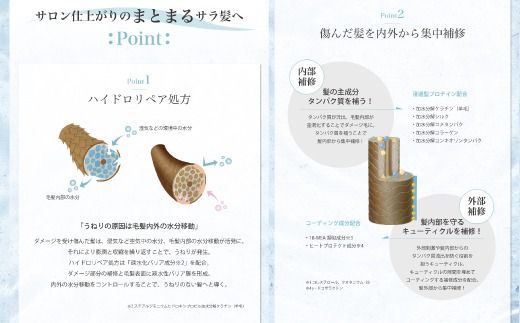 サロン・ド・オーデ ハイドロリペア シャンプー ＆ トリートメント 各 500ml 2本 セット ダメージ補修 ノンシリコン 無着色 ボトル 液体 アロインス製薬 美容 美容品 化粧品 日用品 消耗品 高知 高知県 四万十 四万十市 しまんと 25-92