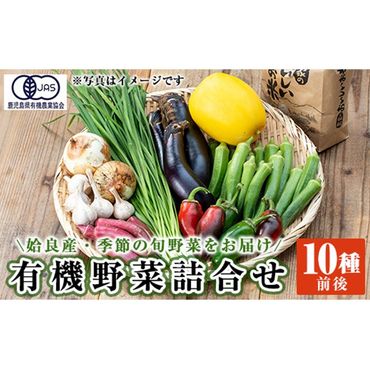 a967 姶良産 有機野菜の詰合せセット(10種前後)【今村農園】姶良市 国産 鹿児島県 野菜 やさい 旬 有機栽培 詰め合わせ 春 夏 秋 冬 季節