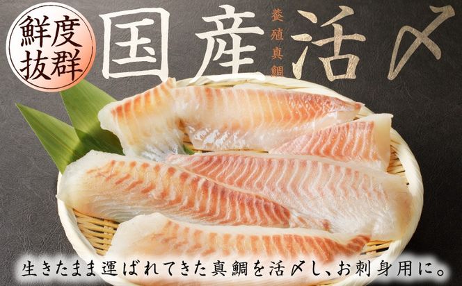 nbj0005 人気海鮮定期便 サーモン／真鯛 食べ比べ 全4回【毎月配送コース 小分け 訳あり サイズ不揃い 刺身 海鮮丼 人気 オススメ 冷凍】】