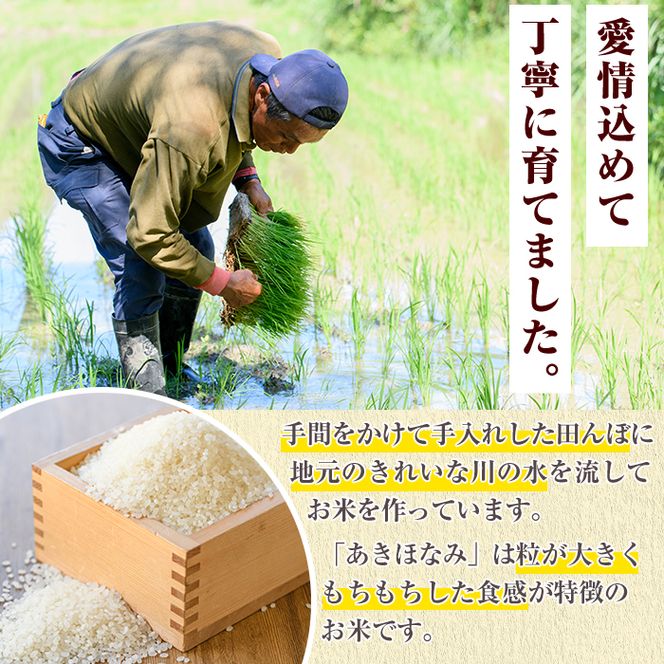 鹿児島県産のお米 あきほなみ(計10kg・5kg×2袋) 国産 白米 自社精米 ご飯 おこめ おにぎり お弁当 あきほなみ【谷口ファーム】akn064-06