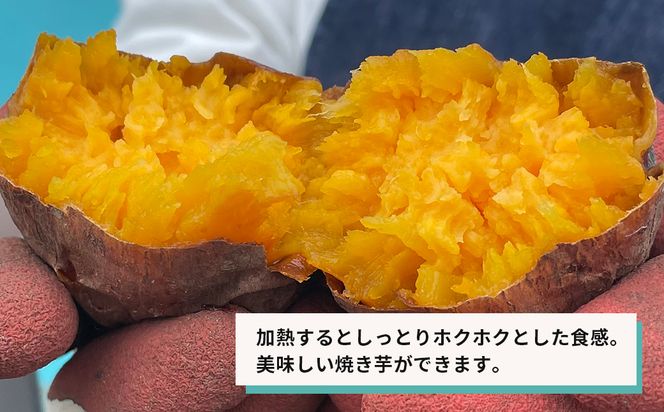 【産地直送】紅はるか（淡路島産）土付き　約5kg　不揃い【栽培期間中、農薬・化学肥料不使用】 さつまいも