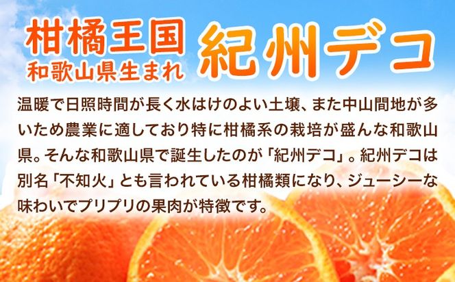 果肉プリプリ 完熟紀州デコ(不知火) 約3kg 果肉 デコ 魚鶴商店《2月下旬-3月末頃出荷》紀州デコ 和歌山県 日高川町 贈り物 ギフト 不知火 デコポン と同品種---wshg_uot45_cf2_24_12000_3kg---