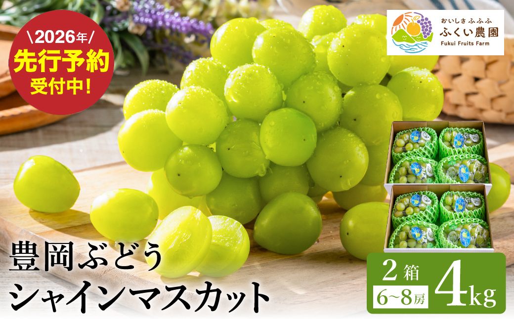 [2026年先行予約]豊岡ぶどう シャインマスカット 2箱 約4kg / 豊岡ブドウ 産地直送 糖度が高い 濃厚 甘味 上品な香り 歯切れの良い 皮ごと 食べられる 減農薬 シャイン マスカット ぶどう ブドウ 葡萄 果物 くだもの フルーツ ふくい農園
