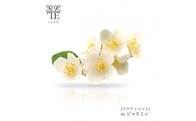 本物の花の香り リード・ディフューザー【ジャスミン】 【 リード ディフューザー 花 香り 仙台市 アロマ インテリア フレグランス デザイン 室内 癒し 自然 空間 プレゼント ギフト エッセンシャルオイル リラックス 】 041009_HW001VC10
