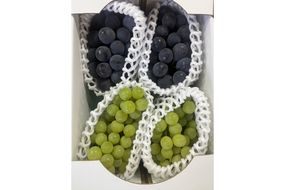 【先行予約】ぶどう白・黒詰め合わせ2〜3種（1.4kg以上）（2026年8月上旬～発送）　SF00037