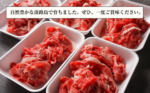 【定期便6ヶ月】【訳あり】淡路牛 切り落とし 1.5ｋｇ(300ｇ×5Ｐ)　訳あり