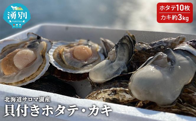 【国内消費拡大求む】先行予約 北海道サロマ湖産　貝付きホタテ10枚・カキ約3kg 魚貝類 生牡蠣 かき 牡蠣 帆立 ほたて 