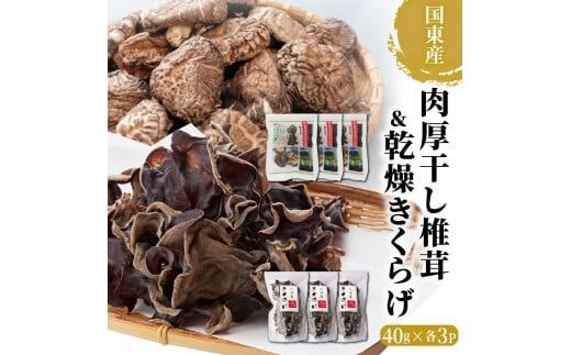 国東産の肉厚干し椎茸（冬菇）＆乾燥きくらげ_29060A