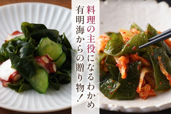 AK074 島原湯通し塩蔵わかめのセット [ わかめ さしみわかめ 茎わかめ ワカメ 海藻 2種セット 詰め合わせ 北田物産 長崎県 島原市]