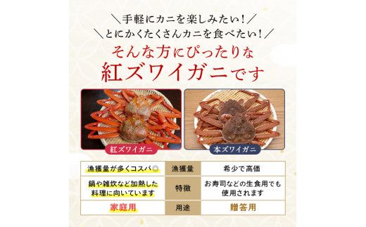 時期が選べる 訳あり しゃぶしゃぶ用 生冷凍 紅ズワイ 棒肉ポーション 500g（殻無し）