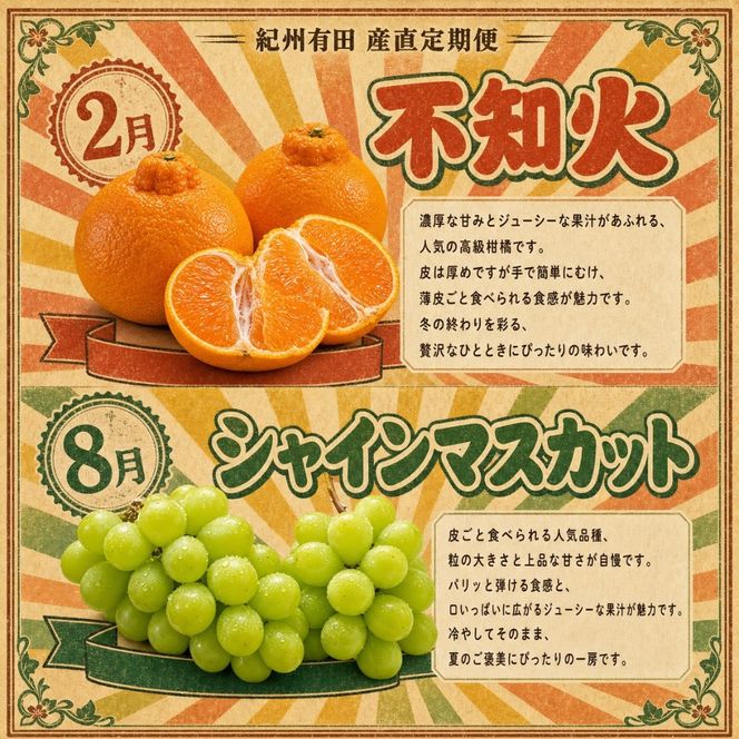 【2・8・9・12月 全4回】紀州産 シャインマスカットとフルーツの定期便（シャインマスカット・梨・みかん・不知火） 【魚鶴】AN044