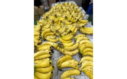 中津ジン 知多バナナ 500ml 1本 | 酒 お酒 バナナ酒 スピリッツ クラフトジン 蒸留酒 国産 カクテル バナナ ソーダ割り NAKATSU GIN アルコール ロック ソーダ ジントニック ギフト お試し 晩酌 愛知県 美浜町 ※2026年5月上旬～9月下旬頃に順次発送予定