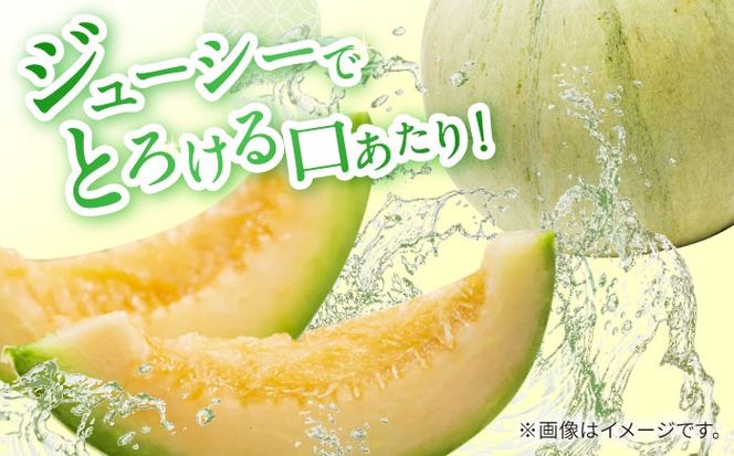 【2025年4月下旬～発送】【根強い人気!】訳あり プリンスメロン 約4kg×2箱 傷もの / メロン めろん 果物 フルーツ / 南島原市 / 南島原果物屋[SCV020]