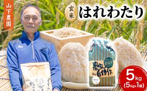 米 令和8年産 はれわたり 玄米 5kg 1袋 こめ お米 おこめ コメ ご飯 ごはん 令和8年 山下農園 青森 青森県