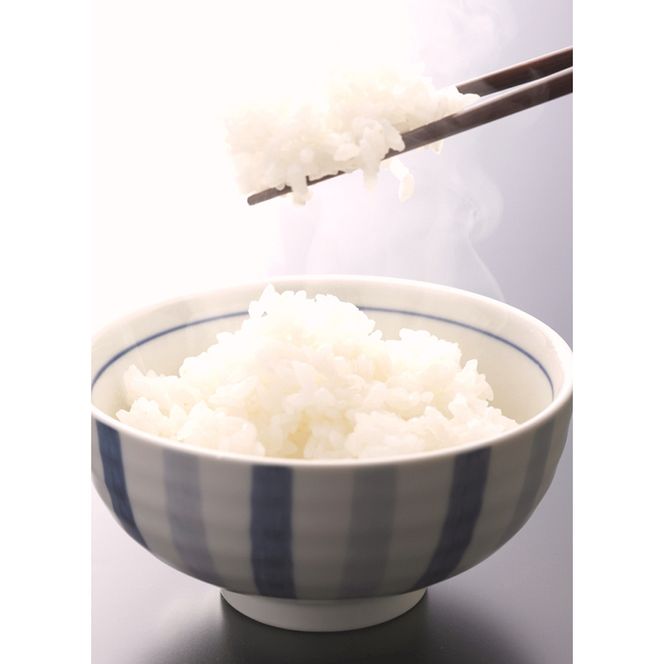 和歌山県産キヌヒカリ 10kg(2025年産) ｜米 コメ こめ 和歌山※2025年9月中旬頃より順次発送予定