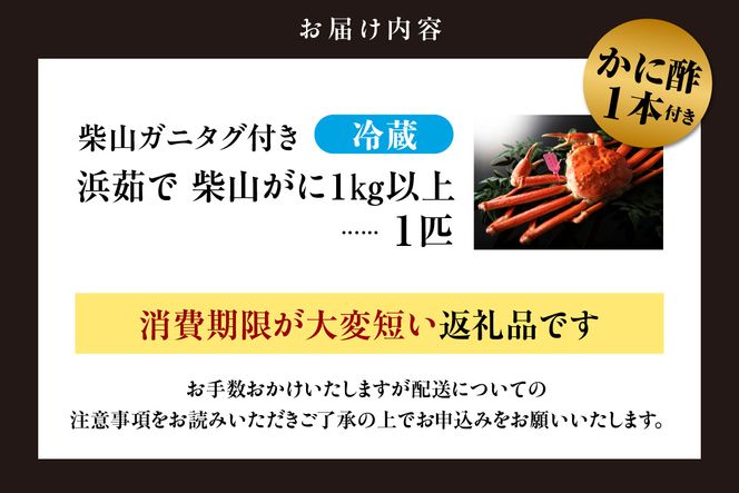 【先行予約】柴山ガニ タグ付き カネニの浜茹で 1.0kg以上 冷蔵【令和8年11月中旬以降発送予定】 希少 かに 蟹 カニ 松葉がに 松葉ガニ 柴山がに ボイル タグ付き 高級 かにすき 焼きガニ カニ 贈答 ギフト 贈り物 兵庫県 香美町 香住 柴山 カネニ 06-02