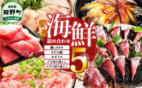 厳選 海鮮5種詰め合わせセット 鰹のタタキ600g マグロ切り落とし200g ブリ切り落とし150g きざみ鰻80g ネギトロ100g かつお カツオ まぐろ 鮪 ぶり うなぎ 冷凍 高知 小分け おいしい 高知県 田野町