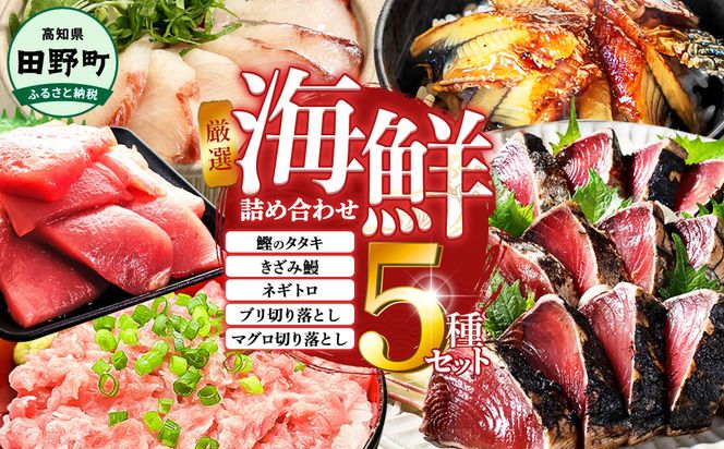 厳選 海鮮5種詰め合わせセット 鰹のタタキ600g マグロ切り落とし200g ブリ切り落とし150g きざみ鰻80g ネギトロ100g かつお カツオ まぐろ 鮪 ぶり うなぎ 冷凍 高知 小分け おいしい 高知県 田野町