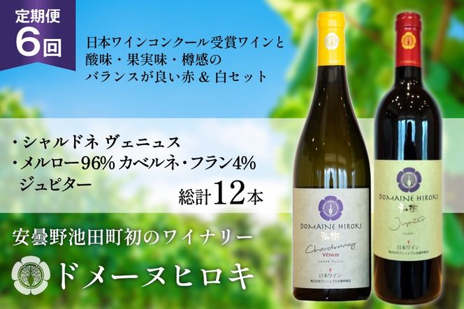 y쌧rczC  6 Ws^[ƃVhlFjX e750mlv2{×6 v12{ [Bjuܖ 쌧 rc 48110820] ԃC C ݔ h[kqL