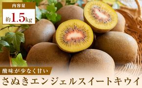 《感謝企画》【先行受付2026年】さぬきエンジェルスイートキウイ　約1.5kg 372013_T006-816J