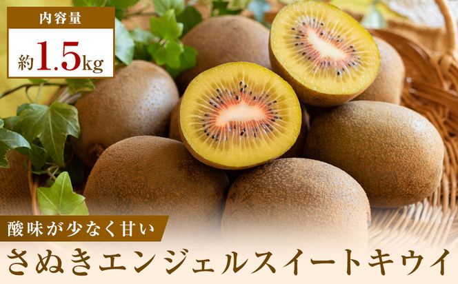 《感謝企画》【先行受付2026年】さぬきエンジェルスイートキウイ　約1.5kg 372013_T006-816J