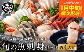 新鮮なお魚を捌いた日に冷蔵で発送！お刺身セット 約4人前  / 刺身 盛り合わせ 新鮮 冷蔵 お刺身 セット 寿司ネタ お寿司 お魚 刺身盛り合わせ【城崎温泉 おけしょう鮮魚】【お電話で希望の配送日時を確認しますので受取安心】