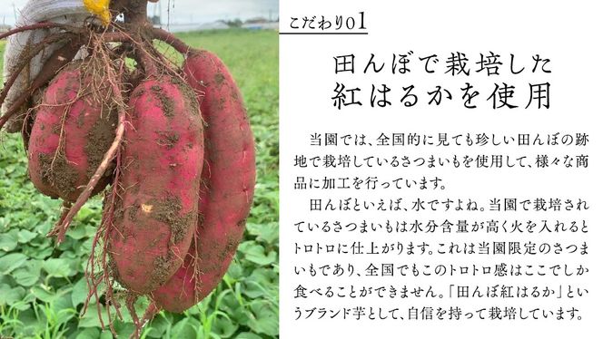 「田んぼ 紅はるか」で焼く、熟成ひとくち焼き芋 1kg (500g×2包装) 焼き芋 芋 さつまいも おやつ スイーツ 茨城 庄七農園  [BK24-NT]