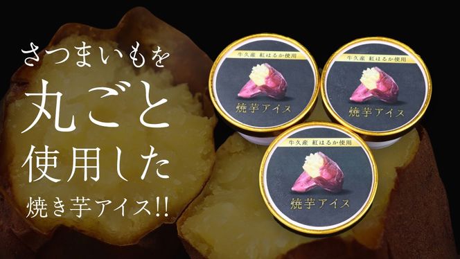 牛久市産 紅はるか 使用 焼き芋アイス 12個 入り アイスクリーム さつまいもスイーツ 焼き芋味 べにはるか 夏 アイス ギフト さつま芋 味 焼き芋 味 サツマイモ 冷凍 贈り物 [EJ009us]